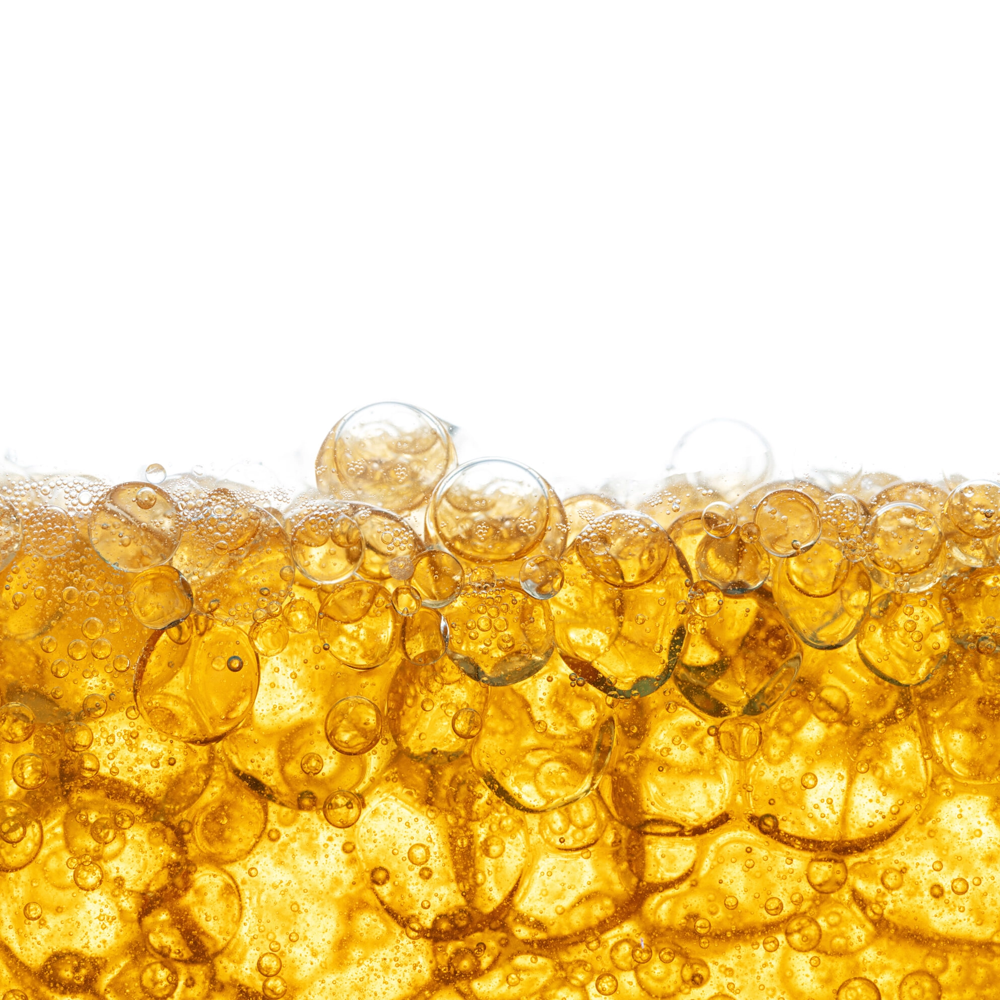 adobestock 343269485 scaled